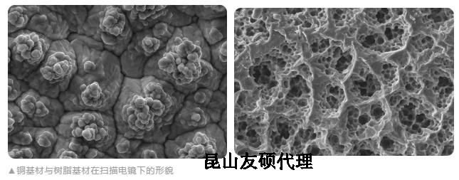 津南蔡司津南扫描电镜