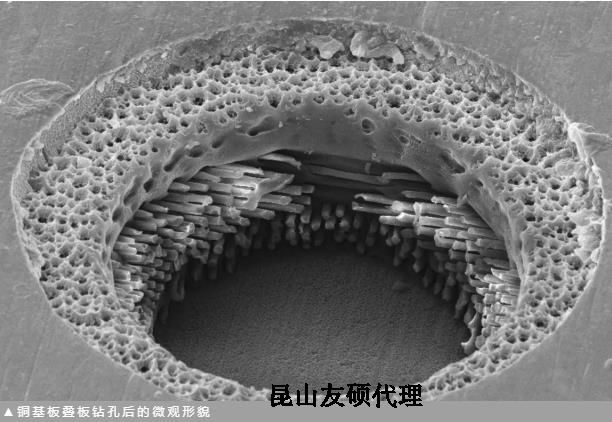 津南蔡司津南扫描电镜